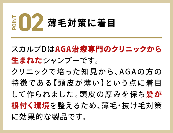 薄毛対策に着目